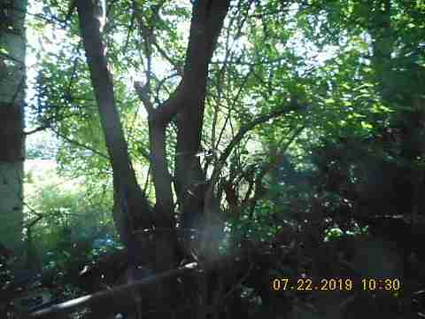 3759 Euclid (6)_m.jpg